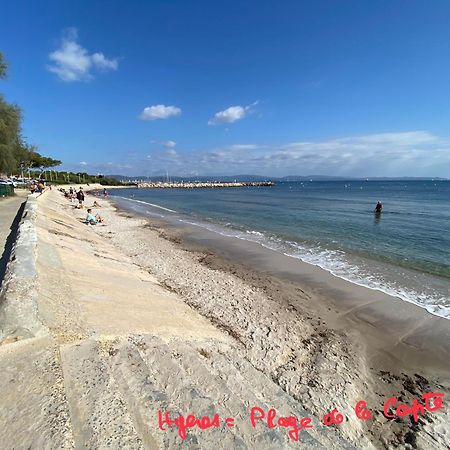 Villa Lou Gecko Hyères Exteriér fotografie